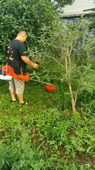 Hochleistungs-Gartenwerkzeug, Handwerkzeug, Benzin, 45 cc, 2-Takt-Freischneider mit CE